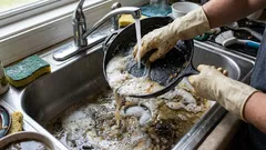 Lavare i piatti a mano inquina l'acqua e il suolo.